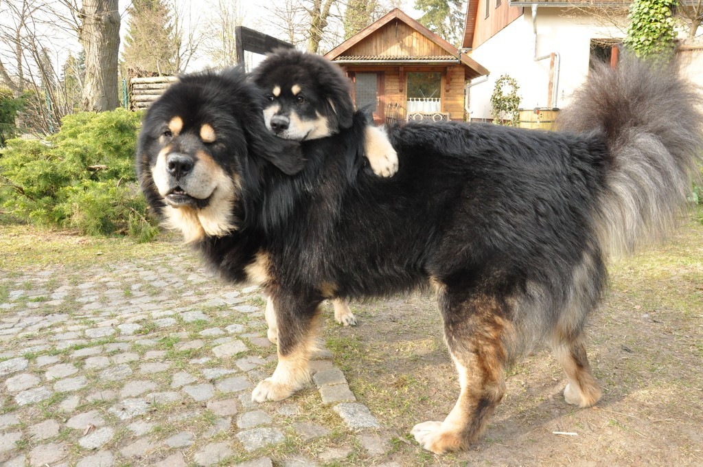 best-friends-geaendert