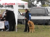 2009_1019backatopola0125