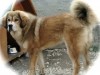bhavani_0