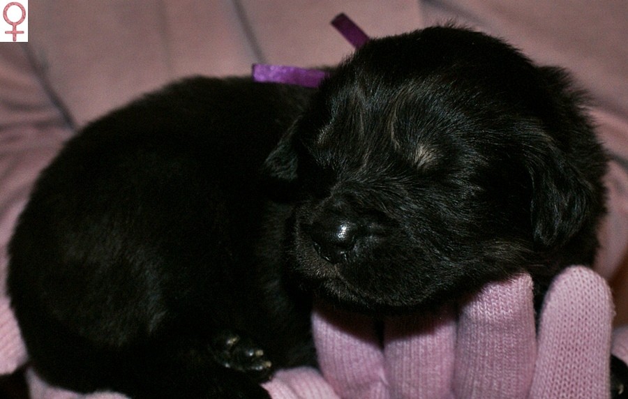 SONY DSC
