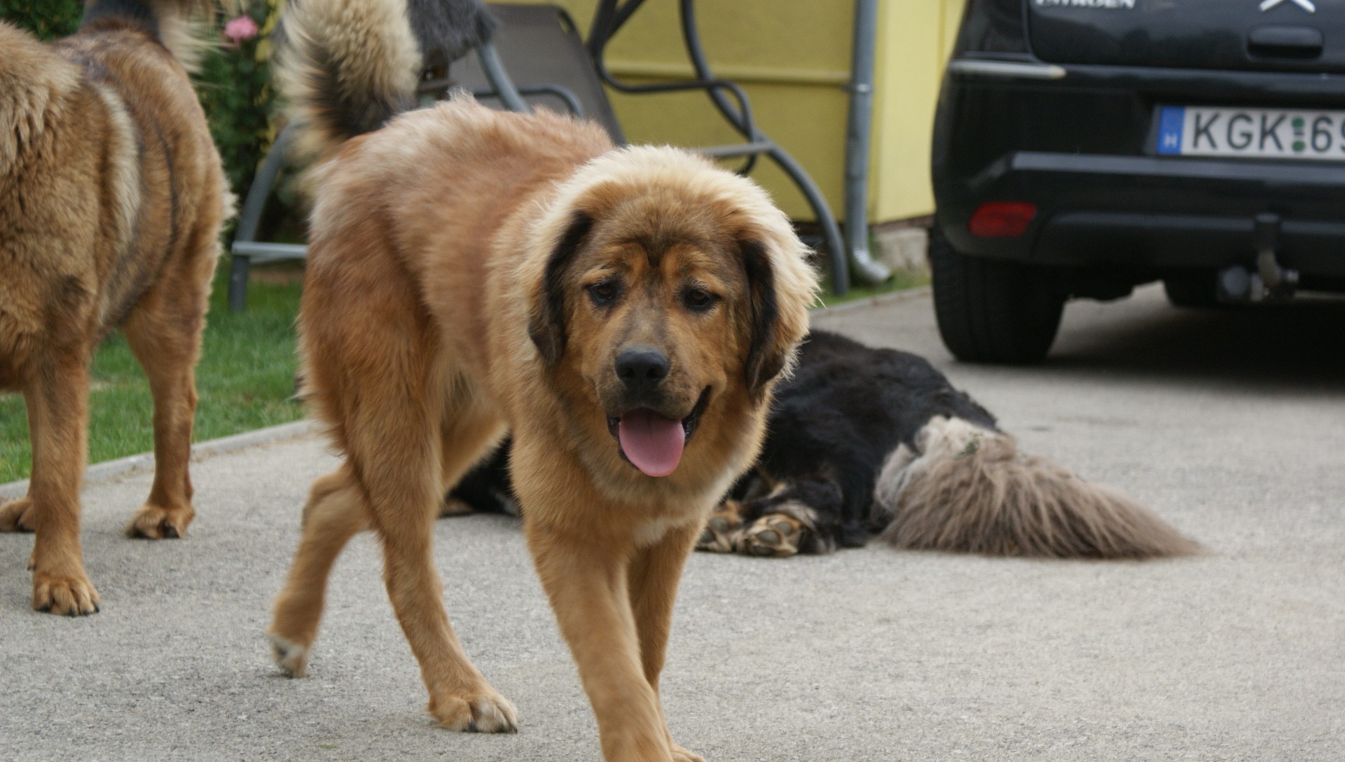 SONY DSC