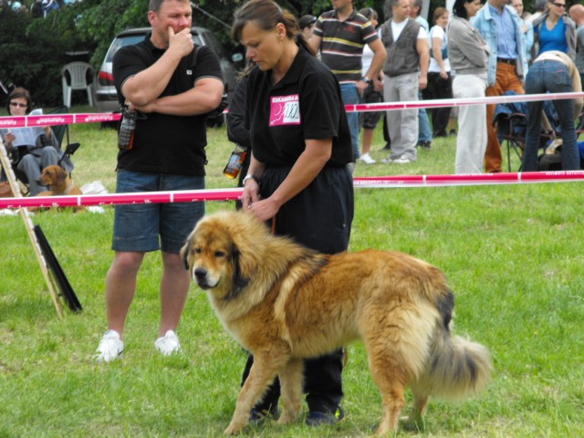 zalaegerszeg-09-05-25