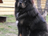 2012_01071eves0019
