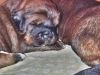 IMG-3be9a574bf61ca9ededa40782ee3ab4c-V