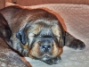 IMG-4d0afc6bd973b968b3c068636595577e-V