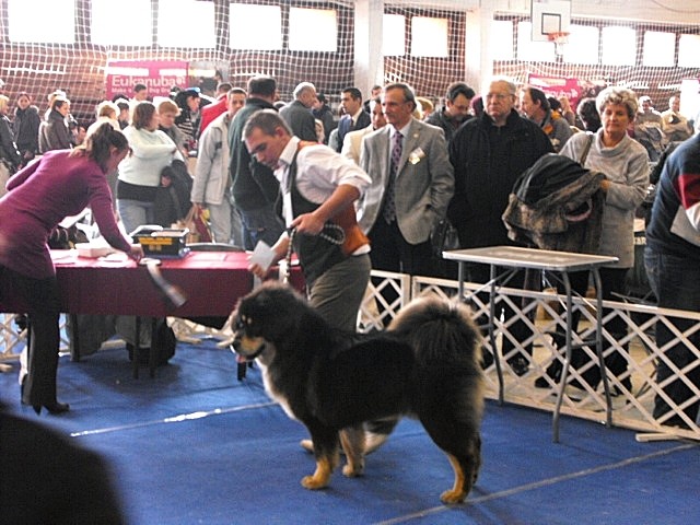 2011_0220szfehervar0024