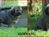 jamyang_1