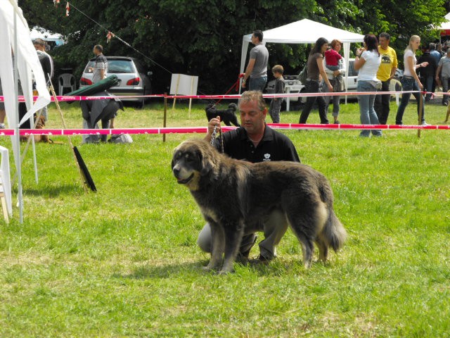 zalaegerszeg-09-05-28