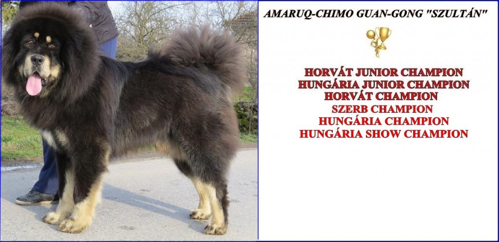 szultanmagy.