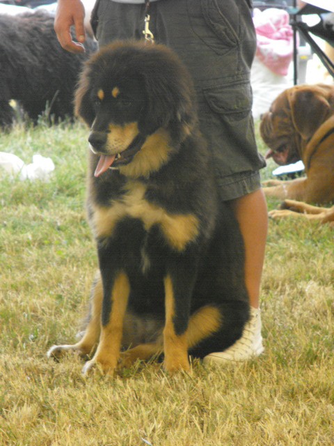 2010_0716