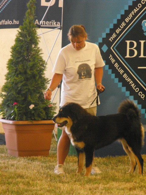 2010_0716