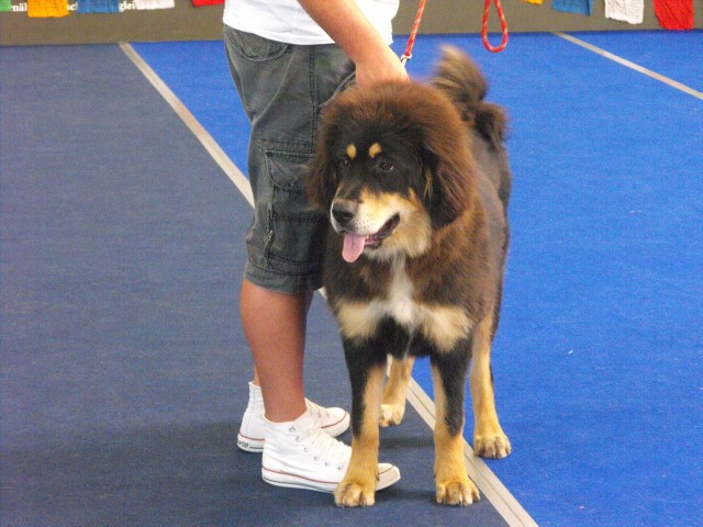 2010_0717