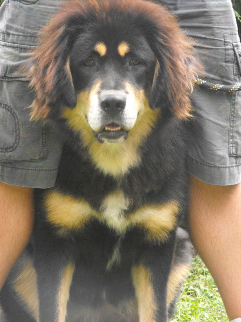 2010_0819