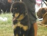 2010_0716