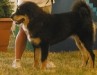 2010_0716
