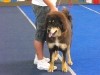 2010_0717