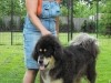 2011_0522sombor0028