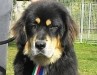 2011_0829izis0003