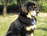 2011_0829izis0004