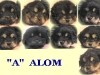 5-hetes-a-alom