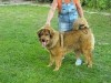 2011_0522sombor0017