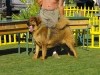 2011_0728split0130