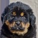 everest_3