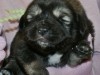 SONY DSC