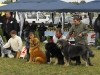 2009_1019backatopola0166