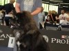 img_5138
