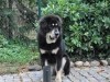 lonely-in-the-garden-geaendert