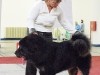 2011_1120zagrabvasarnap0005