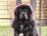 2012_01071eves0017