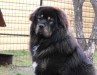2012_01071eves0019