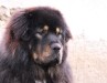 2012_01071eves0020