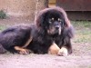 2012_01071eves0022