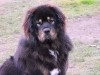 2012_01071eves0041