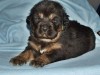 RAMOTH-
