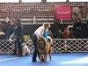 2011_0220szfehervar0028