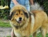2011_0522sombor0006