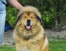 2011_0522sombor0011