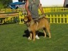 2011_0728split0128