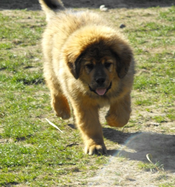 2012_0324kepek201203270019