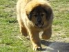2012_0324kepek201203270019