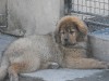 2012_0324kepek201203270030