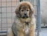 2012_0324kepek201203270056